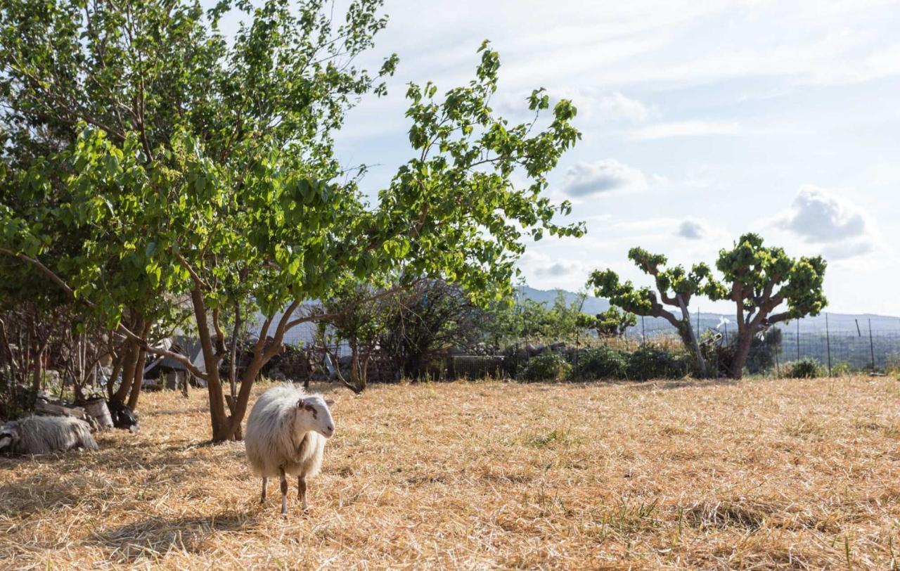 Вилла Nassibe Estate Agios Ioannis  Экстерьер фото